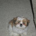 Dwight Pillow - @ldpillow - Twitter