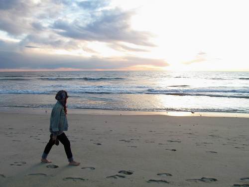 katiesuecato's profile picture. 