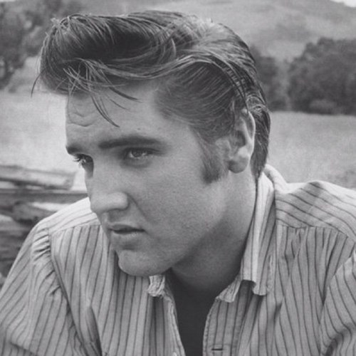 Big Elvis Presley fan for many years