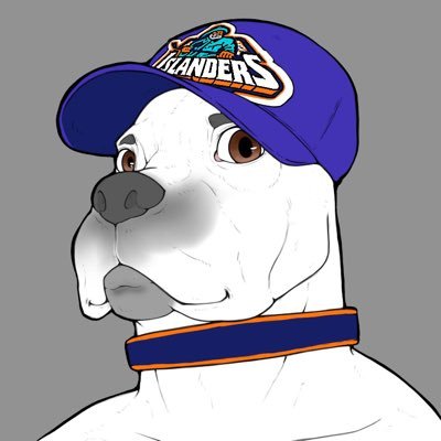 HockeyPup Profile Picture