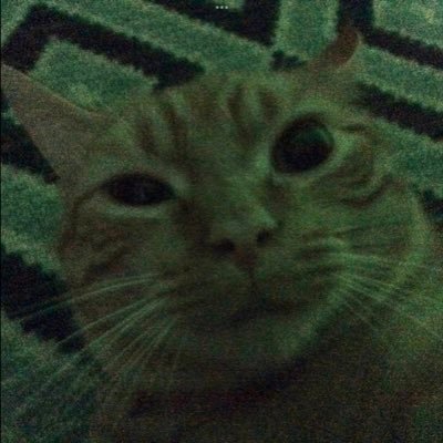 16 yr old / joyo 🐐 https://t.co/T64nwTXNnW https://t.co/WTMVeoJCXg