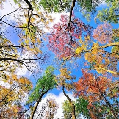 Apasionada del Café, de la Naturaleza y la Literatura Romántica!!!