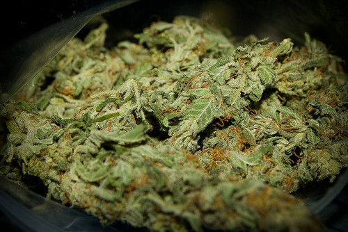 Dustycrevice644's profile picture. my picture kinda says alot about me lol im into music, skatin, mma all sorts really so yeah thats me...