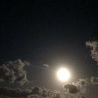 .𝙰𝚖𝚒𝚕 𝚊𝚍𝚎𝚕ᥫ᭡ (@amil_almnf55707) Twitter profile photo