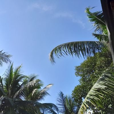 Bahagia