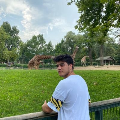 mervannekinci's profile picture. dhf lvl5