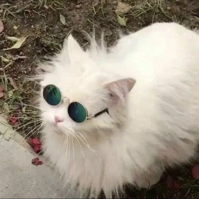 shehabahehs's profile picture. Solis | ex? @Rainbow6AR comp player (we'll see) | Computer Science Major