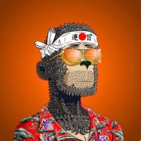 Triniblazin $Block(@investo_crypto) 's Twitter Profile Photo