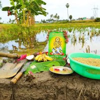 தேவேந்திர குல வேளாளர் 🌾🌾🌾 (@veyil7) 's Twitter Profile