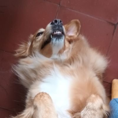 Armando99630231's profile picture. 