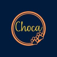 Choca(@silviajlc) 's Twitter Profile Photo