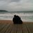 san080673's profile image