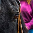 Kaitlin Lake - @lake22133 - Twitter