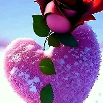 Thanks for the support and love that i have been received from my fans you can follow me up with this my private account