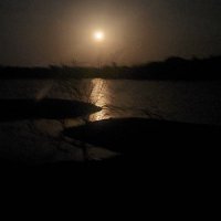 Suryaj233 (@surya23j) 's Twitter Profile