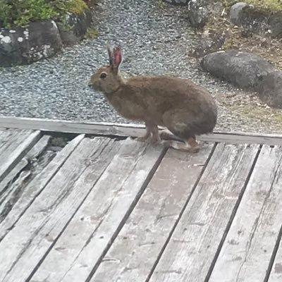 完全にこっちが本垢。日常系、ゲーム(主にラスバレ)、麻雀、たまにドラムについて呟いてる/スポーツ・ゲーム・音楽・ダンス全般と百合が好きな大学生/運の無さはピカイチ