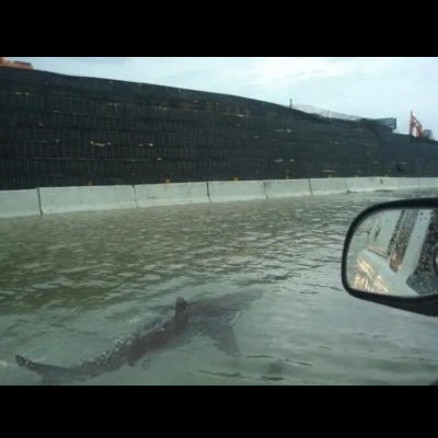 Qdoughboy's profile picture. 