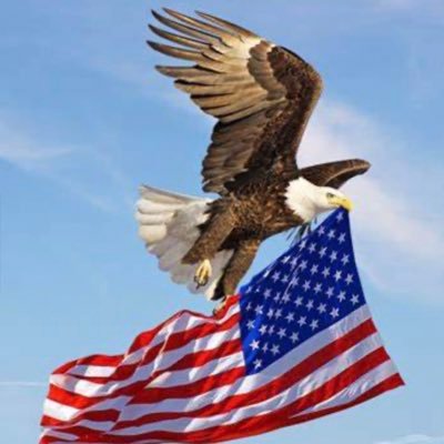 AnthonyZal24350's profile picture. 