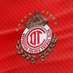Toluca FC (@TolucaFC) Twitter profile photo