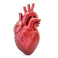 Cardiac Biomarkers Lab (@cardiaclab) 's Twitter Profile