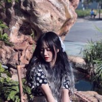 Nicole Perkins (@anitshadekf) 's Twitter Profile
