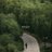 Hiii_iamAra's profile image