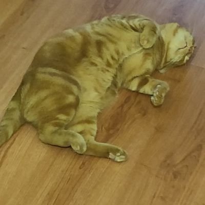 chechu50000's profile picture. HTTP 404