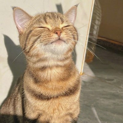 ryuuk1331's profile picture. 