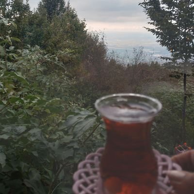 banaheryer61's profile picture. 