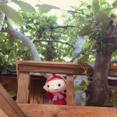 norikooo_y's profile picture. マイペース。人見知り。 残りの人生楽しみたい♪