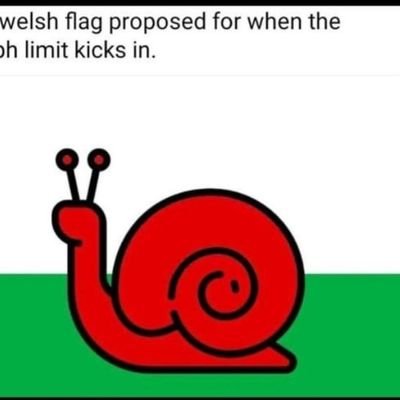 Welshandnaked