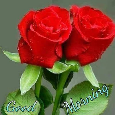 SureshK58749's profile picture. I am a cloth marchent of muzaffarpur in Bihar