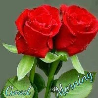 Suresh Kumar (@sureshk58749) 's Twitter Profile