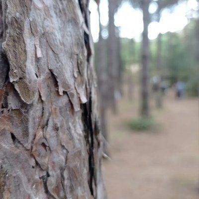 ayhanbaris's profile picture. 