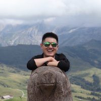 Linhao Liu柳 (@linhao_liu) 's Twitter Profile