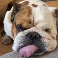 malborot (@malborot2) 's Twitter Profile Photo malborot (@malborot2) 's Twitter Profile Photo