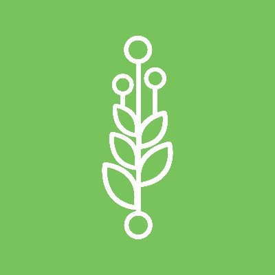 Javelot Profile