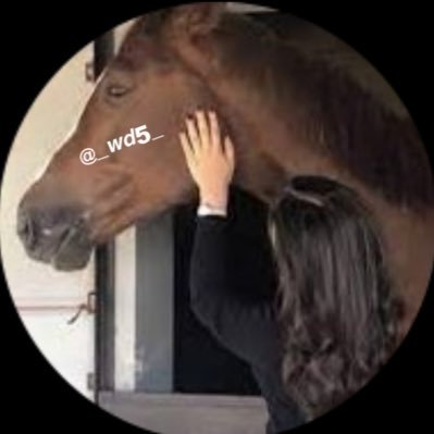 🐎عاشقة الخيل🐎 Profile