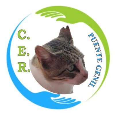 Asociación que vela por gestión integral de colonias felinas.
Captura-Esterilización-Retorno.
Organización sin ánimo de lucro.