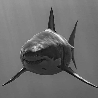 NOT_HER_2016's profile picture. 