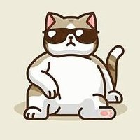 What's in a Cat (@whatsinacat) 's Twitter Profile