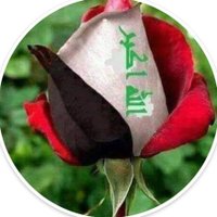 حبيبي وطني 🇮🇶❣️ JEMAL(@a___j85) 's Twitter Profile Photo
