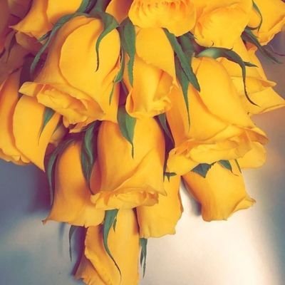 💛💛نجــــوى الحربــي💛💛