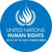 UN Human Rights Partners (@OHCHRPartners) Twitter profile photo