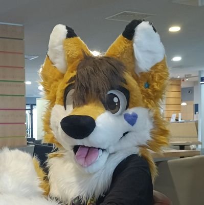 He/Him | Lvl.24 | Fursuiter | Single | 🏳️🌈 | 🇩🇪