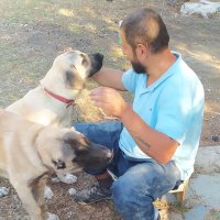 KADİR İBRAHİM KİBAR (@kadrbrahmkbar) Twitter profile photo