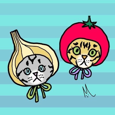 Naramachi Vegan Nabi ならまちヴィーガン菜美さんのプロフィール画像