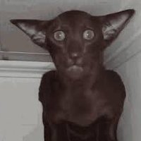Bijelzebub (@sijemberac) 's Twitter Profile