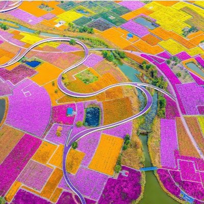 Mgv1547571's profile picture. 