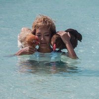 ぴあやの🎹島暮らしピアノ弾き (@piayano_trip) 's Twitter Profile Photo ぴあやの🎹島暮らしピアノ弾き (@piayano_trip) 's Twitter Profile Photo